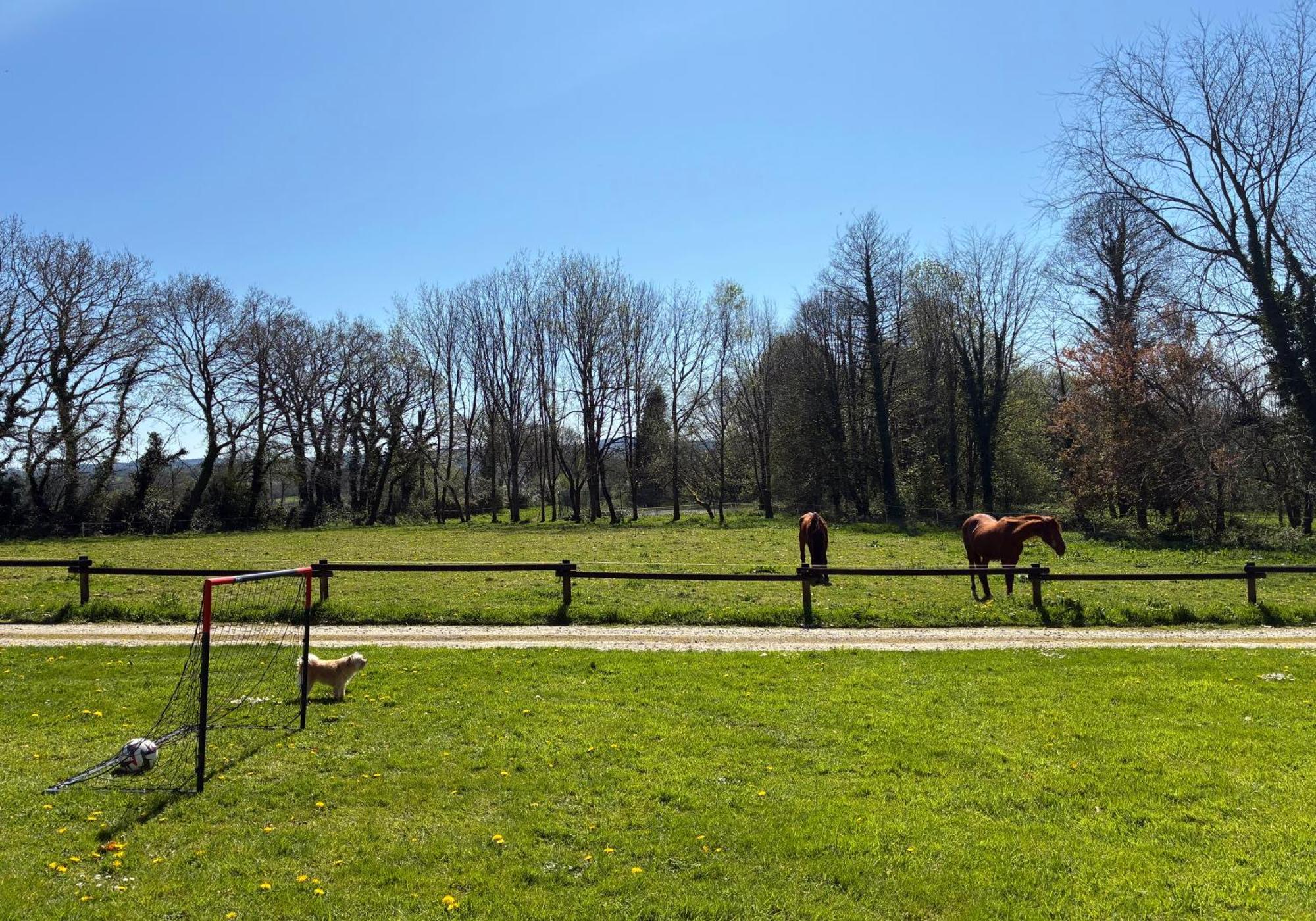 Gite Milin A Sizun Hebergement Confortable Pour 7 Pers エクステリア 写真